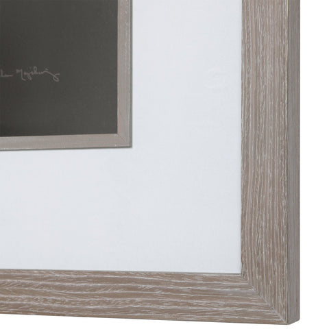 Dandelion Seedhead Framed Print Square Wall Art with Matte Finish