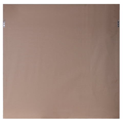 Dandelion Seedhead Framed Print Square Wall Art with Matte Finish