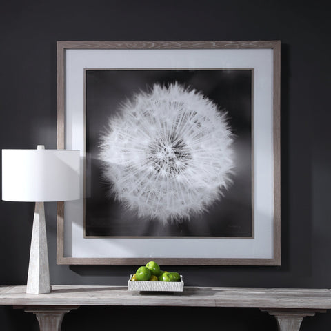 Dandelion Seedhead Framed Print Square Wall Art with Matte Finish