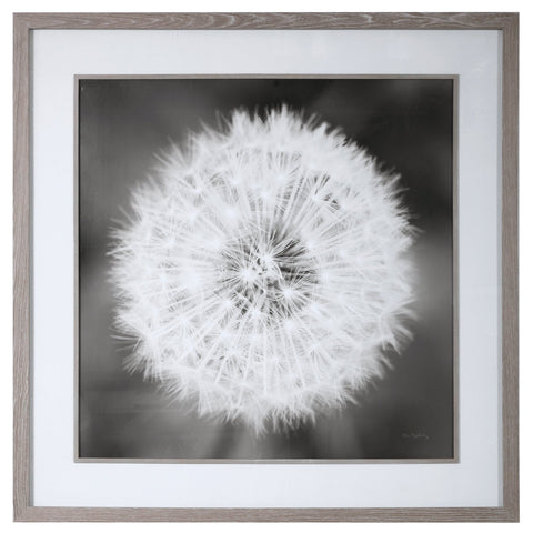 Dandelion Seedhead Framed Print Square Wall Art with Matte Finish