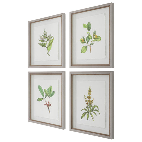 Uttermost Wildflower Study Rectangle Print with Matte Gray Frame Wall Art - Set of 4