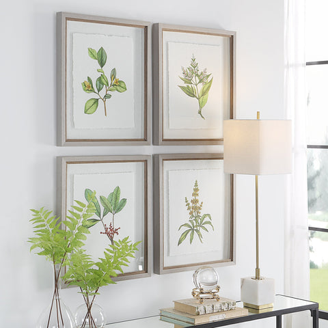 Uttermost Wildflower Study Rectangle Print with Matte Gray Frame Wall Art - Set of 4