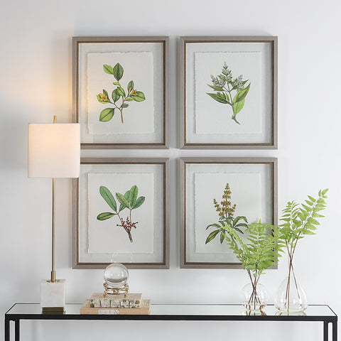 Uttermost Wildflower Study Rectangle Print with Matte Gray Frame Wall Art - Set of 4
