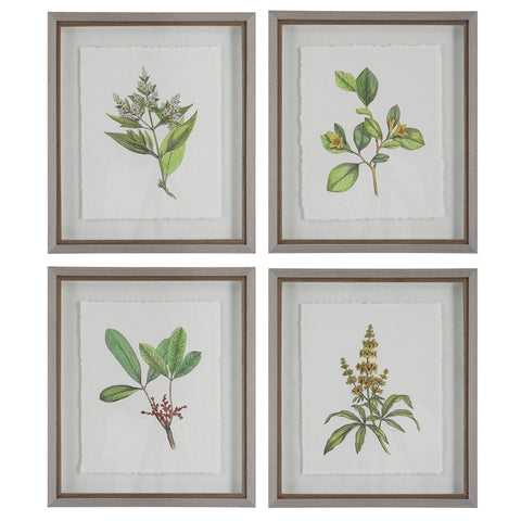 Uttermost Wildflower Study Rectangle Print with Matte Gray Frame Wall Art - Set of 4