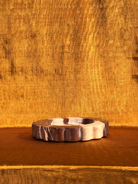 Sun Tray