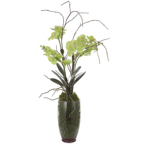 Uttermost Contemporary Orchid Centerpiece for Indoor Decorating