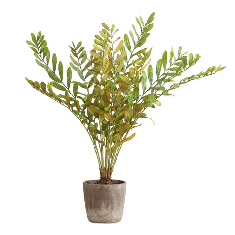 Uttermost Contemporary Palm Centerpiece for Indoor Decorating