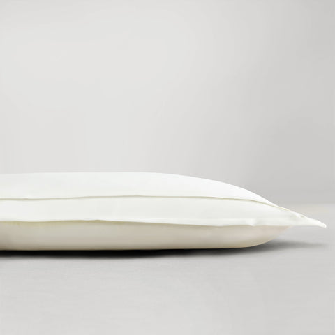 Monochromatic Minimalist Accent Pillow with Zipper Closure