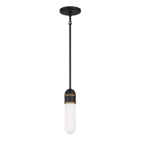 Designer Collaboration Capsule Pendant Light with Adjustable Height