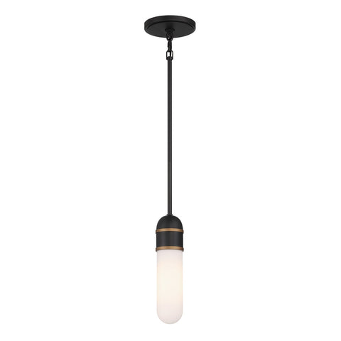 Designer Collaboration Capsule Pendant Light with Adjustable Height