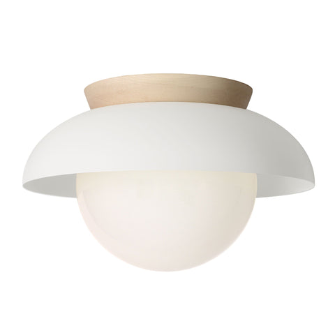 Lexi Timeless Minimalist Flush Mount Ceiling Light