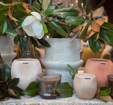 Outdoor Living & Garden Citrus Scented Filled Candle