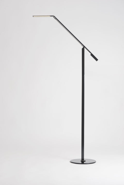 Equo Modern Ambient Sleek Floor Lamp with Adjustable Head