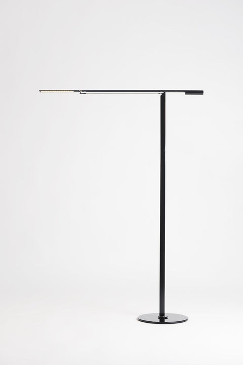 Equo Modern Ambient Sleek Floor Lamp with Adjustable Head