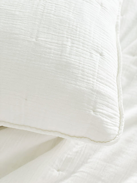 Anaya Minimalist Monochromatic Soft Accent Throw Pillow Set - 20 x 26