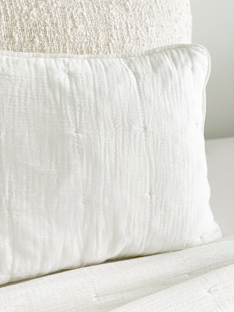 Anaya Minimalist Monochromatic Soft Accent Throw Pillow Set - 20 x 26