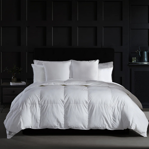 Monochromatic Soft Contemporary Downproof Pillow Inserts