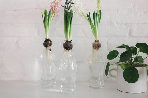 Decorating Essentials Handcrafted Modern Cylinder Bottle