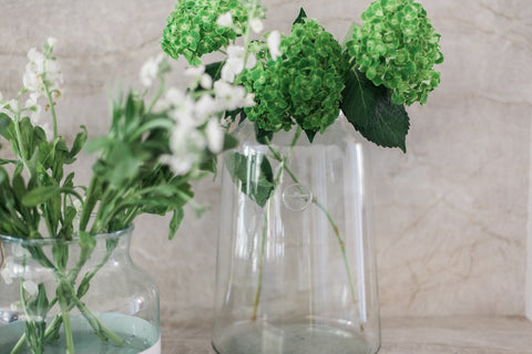 Organic Decorative Glass Storage Jar for Kitchen