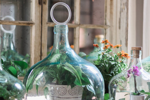 etúHOME Modern Handmade Serving Dish Cover