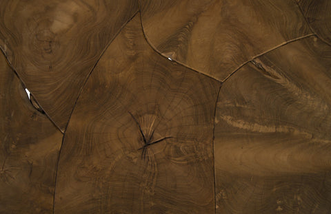 Phillips Collection Nature-Driven Modernist Organic Rectangle Coffee Table