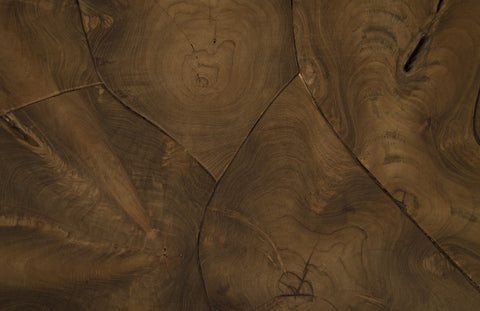 Phillips Collection Nature-Driven Modernist Organic Rectangle Coffee Table