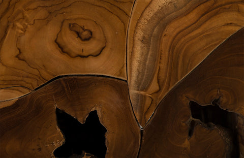 Phillips Collection Organic Bohemian Space Saving Center Table