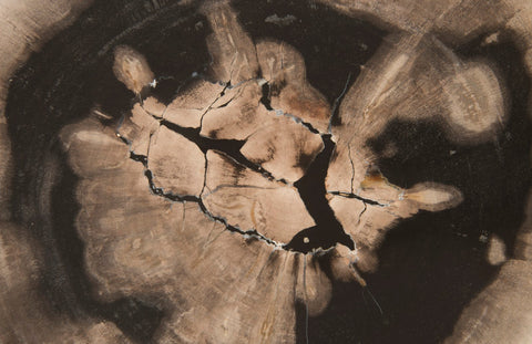 Decorating Essentials Three Dimensional Free Form Wall Sculpture