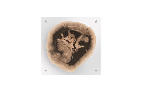 Decorating Essentials Three Dimensional Free Form Wall Sculpture