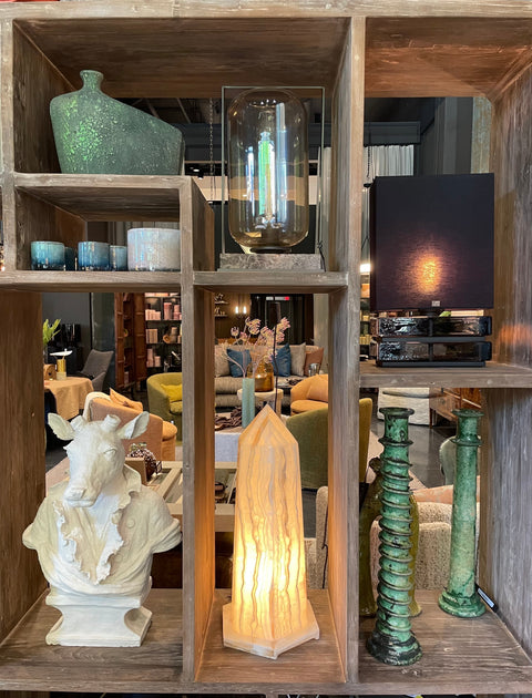 Accent Onyx Modern Organic Novelty Table Lamp