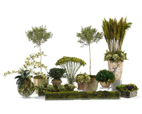 John-Richard Moss Centerpiece for Contemporary Indoor Decorating
