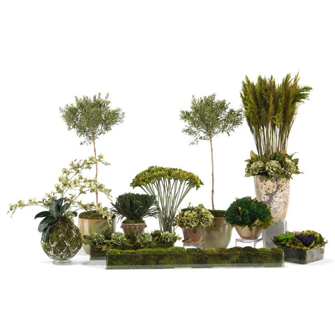 John-Richard Moss Centerpiece for Contemporary Indoor Decorating