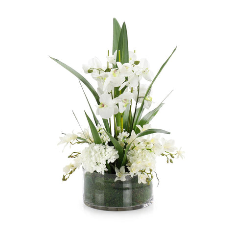 John-Richard White Orchid Centerpiece for Contemporary Decor