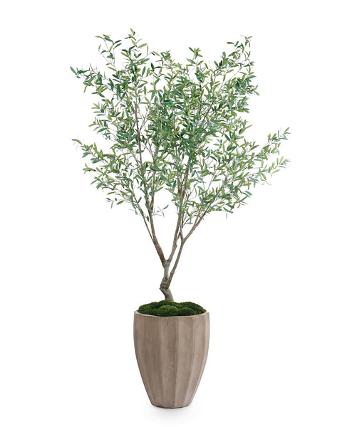 John-Richard Mediterranean Olive Centerpiece for Indoor Decorating