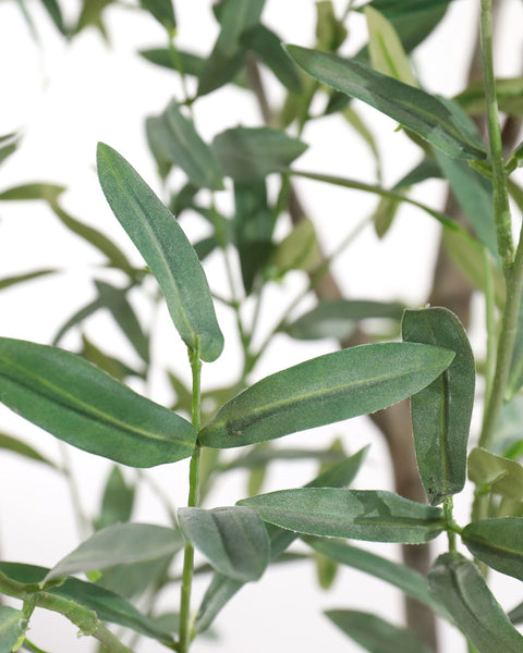 John-Richard Mediterranean Olive Centerpiece for Indoor Decorating