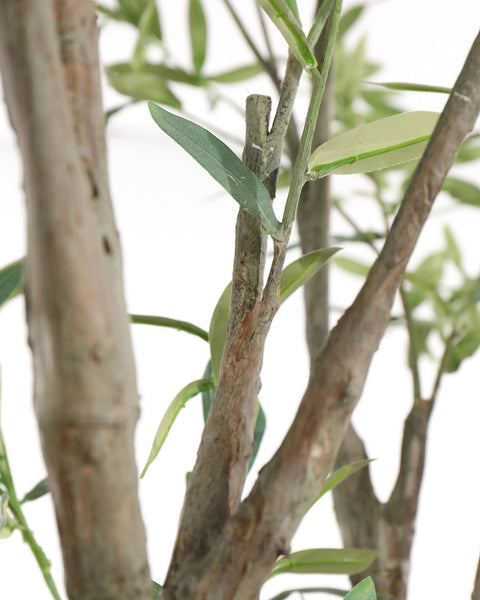 John-Richard Mediterranean Olive Centerpiece for Indoor Decorating