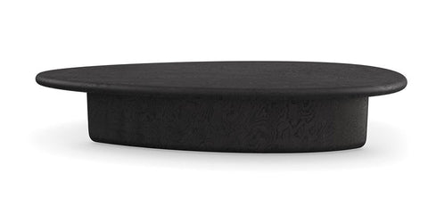 Caracole Timeless Minimalist Organic Freeform Coffee Table