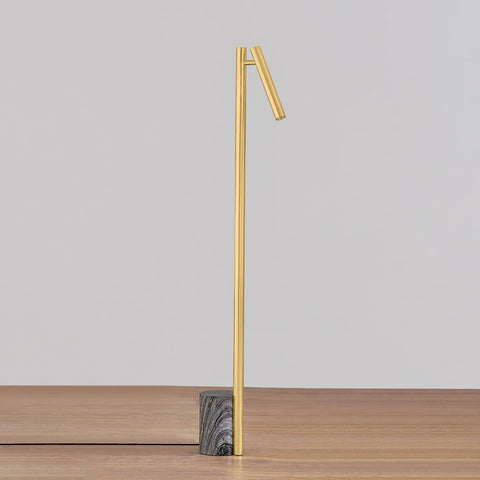 Circleville Ambient Modern Floor Lamp with Adjustable Head