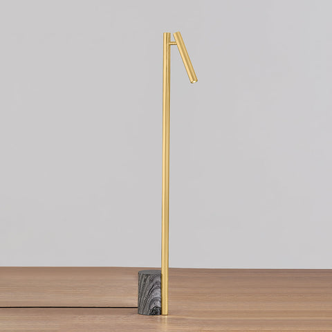 Circleville Ambient Modern Floor Lamp with Adjustable Head