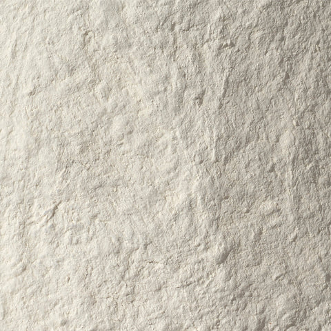 Ambient Organic Bell Pendant Light Ceiling Light