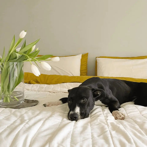 Minimalist Stitched Solid Coverlet