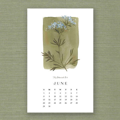 2025 Tiny Botanicals Calendar