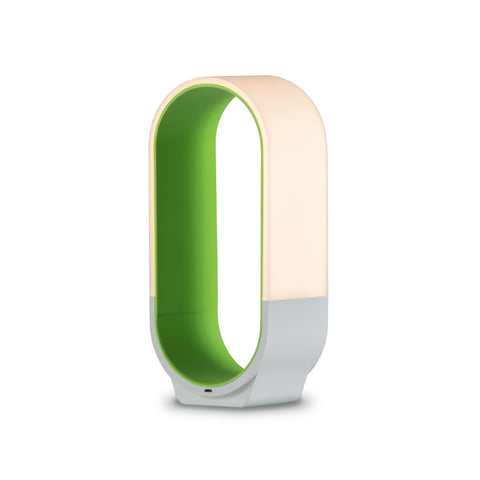 Mr. Go! Minimalist Lantern Table Lamp with USB Port