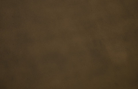 Nature-Driven Modernist Freeform Drum Coffee Table