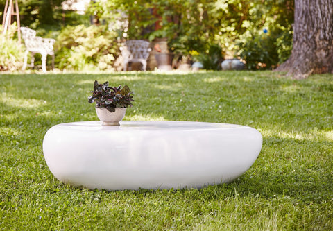 Nature-Driven Modernist Organic Freeform Coffee Table