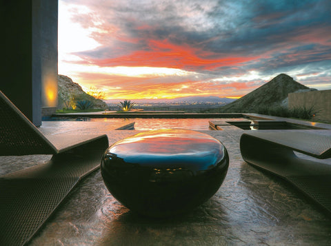 Phillips Collection Nature-Driven Modernist Freeform Coffee Table