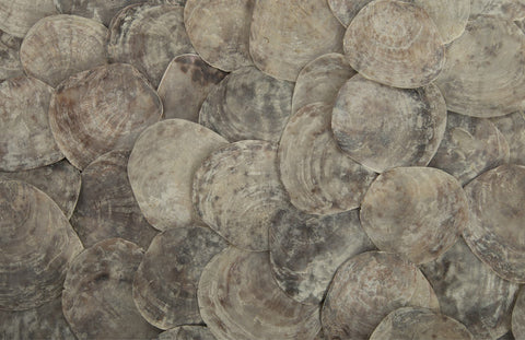 Phillips Collection Timeless Minimalist Organic Square Coffee Table