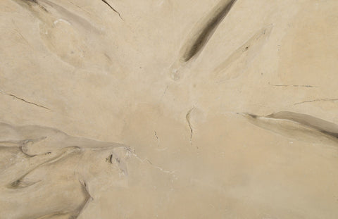 Organic Freeform Wall Sculpture Handcrafted Matte Finish