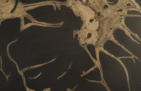 Modern Organic Abstract Novelty Wall Tile for Entry Way