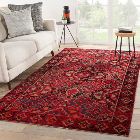 Global Eclecticist Medallion Area Rug with Border - 8' x 10'